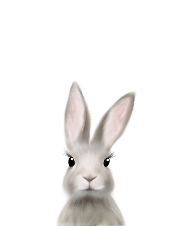 Picture of WOODLAND BUNNY