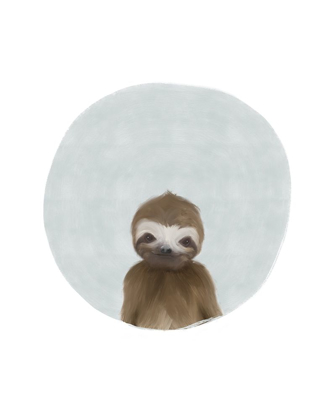 Picture of BABY SLOTH