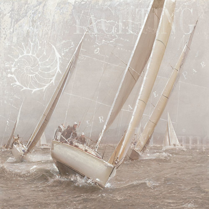 Picture of SAILBOAT RACES II