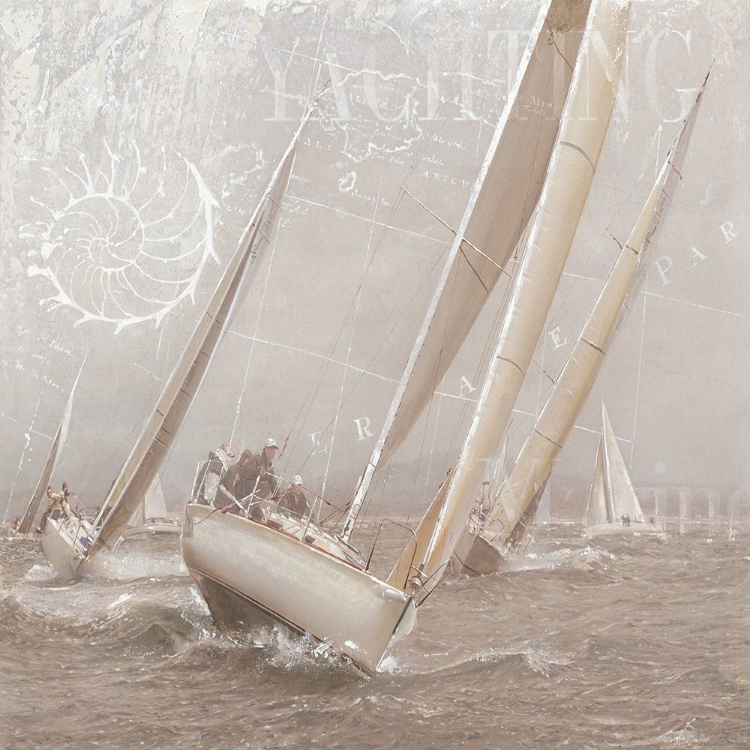 Picture of SAILBOAT RACES II
