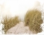 Picture of COASTAL PHOTOGRAPHY 2