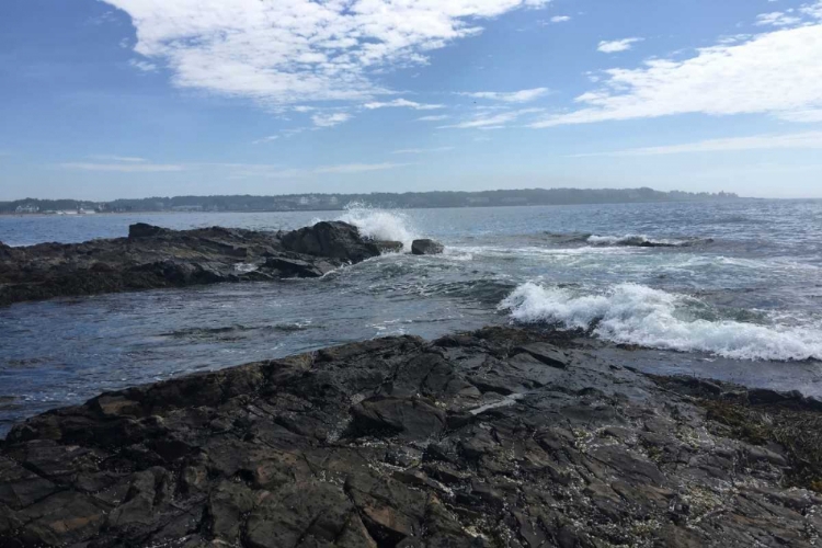 Picture of MORNING TIDE 4