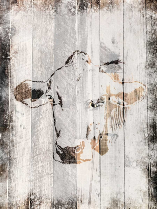 Picture of SPLATTERED COW