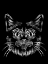Picture of CAT IN THE NIGHT