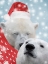 Picture of SNOWY KISSES