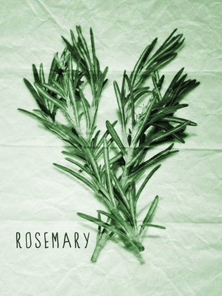 Picture of ROSEMARY PAPER SCRAPS