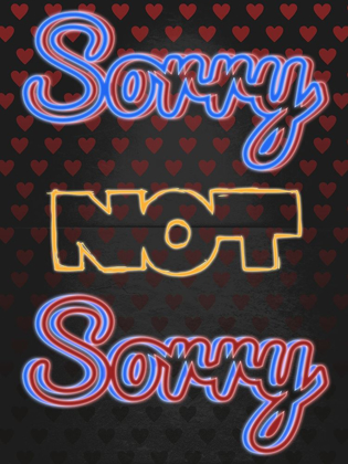 Picture of SORRY NOT SORRY