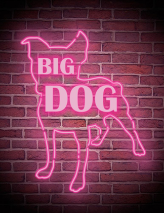 Picture of NEON BIG DOG