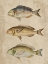 Picture of FISH FRIENDS 2