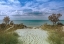 Picture of WELCOMING BEACH