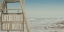 Picture of WATCHFUL LIFEGUARD 2