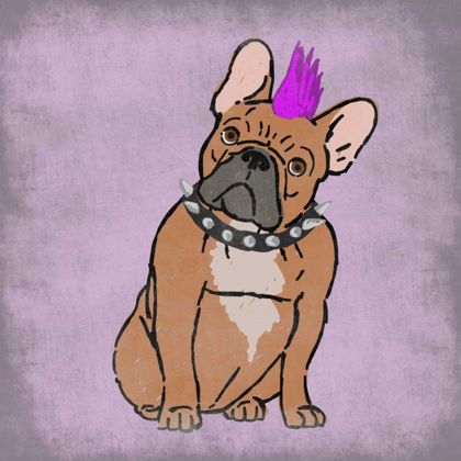 Picture of ROCKIN FRENCHIE