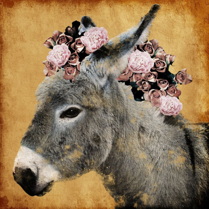 Picture of PRETTY DONKEY