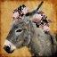 Picture of PRETTY DONKEY