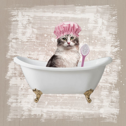 Picture of KITTY BATHS 1