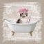 Picture of KITTY BATHS 1