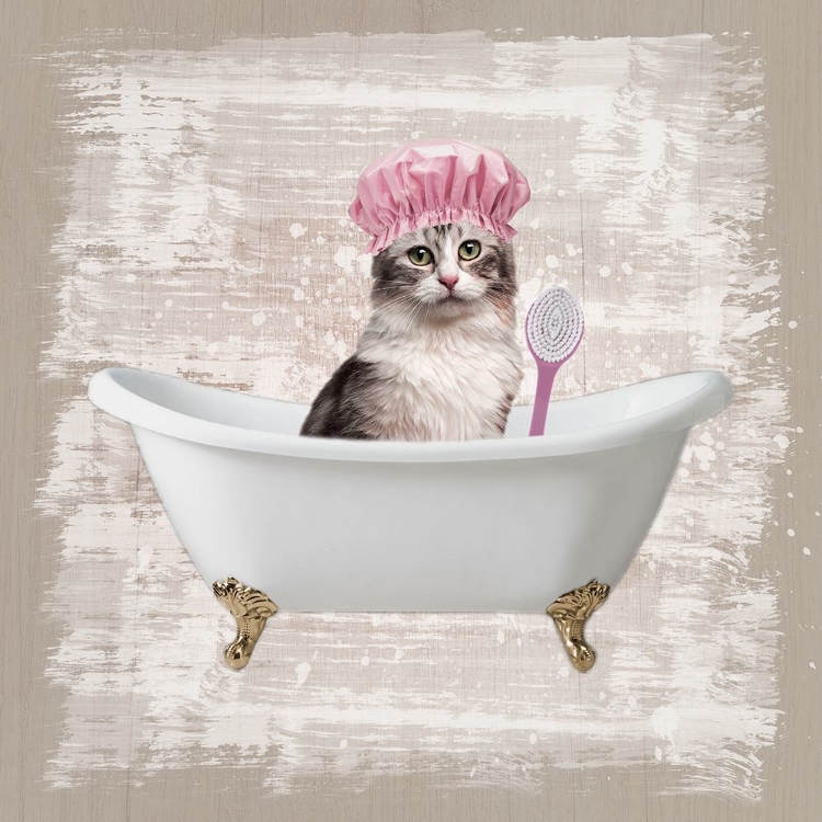 Picture of KITTY BATHS 1