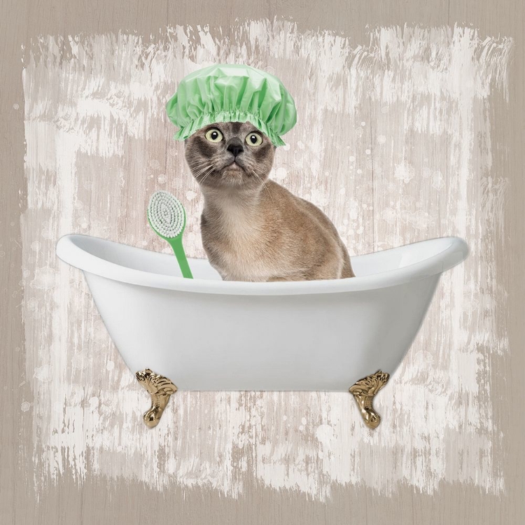 Picture of KITTY BATHS 3