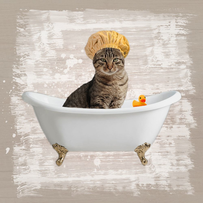 Picture of KITTY BATHS 4