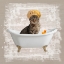 Picture of KITTY BATHS 4