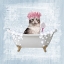 Picture of FUN KITTY BATH 1