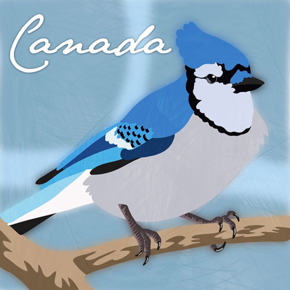 Picture of CANADA BLUE JAY