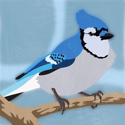 Picture of MAJESTIC BLUE JAY
