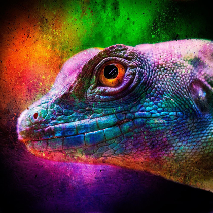 Picture of PARTY LIZARD