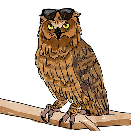 Picture of COOL OWL