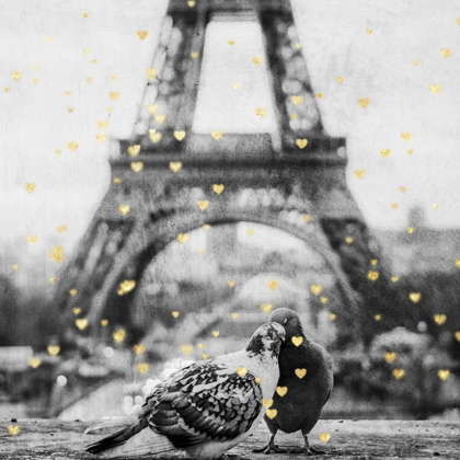 Picture of PARIS LOVE 1
