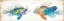 Picture of FISH KISS