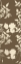 Picture of BROWN FLORAL