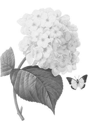 Picture of GREYSCALE FLORAL FOUR