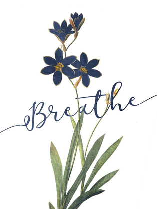 Picture of BREATHE