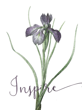 Picture of INSPIRE