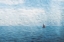 Picture of ALONE OCEAN