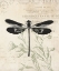 Picture of VINTAGE INSECTS