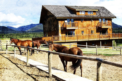 Picture of HORSE RANCH