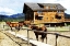 Picture of HORSE RANCH