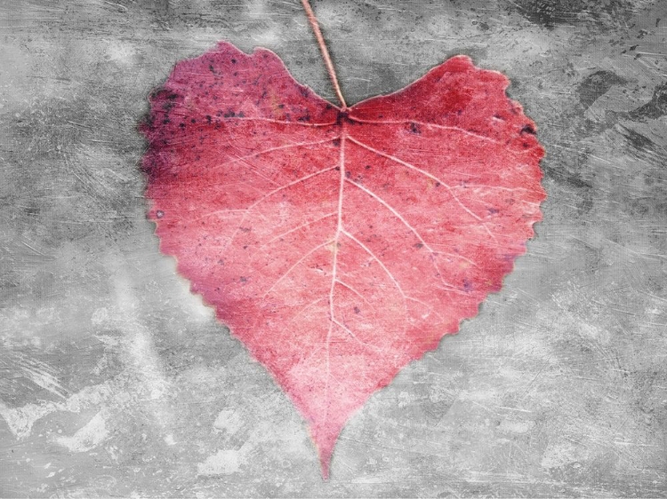 Picture of LOVE LEAVES