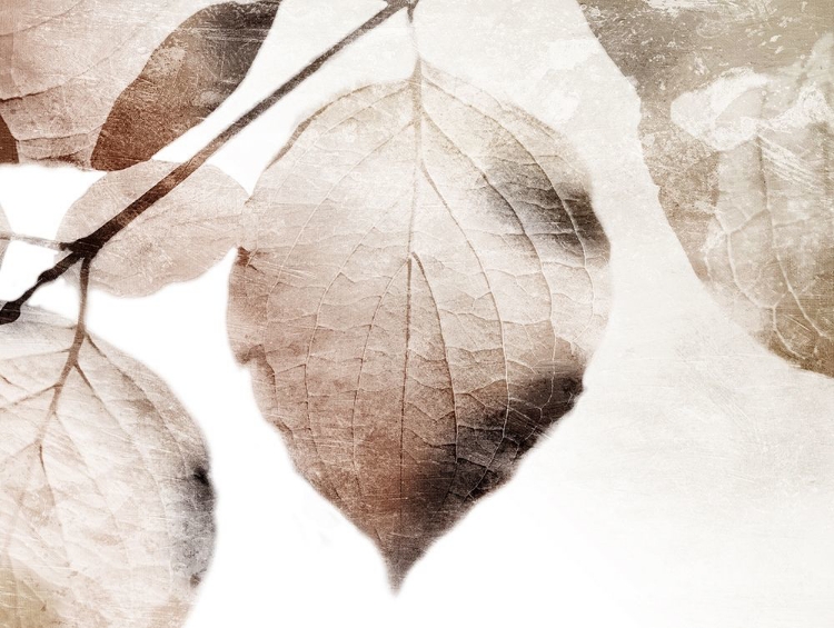 Picture of SOFT NEUTRAL LEAVES