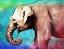 Picture of BRIGHT ELEPHANT