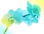 Picture of ELECTRIC ORCHIDS 2