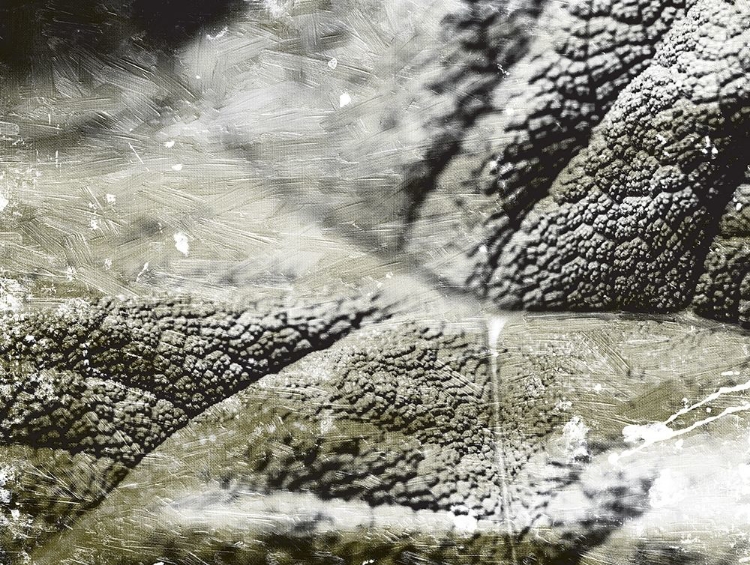 Picture of CHARCOAL LEAVES