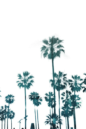 Picture of PALMS IN TEALS