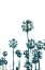 Picture of PALMS IN TEALS