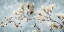 Picture of WHITE FLOWERS IN BLUE