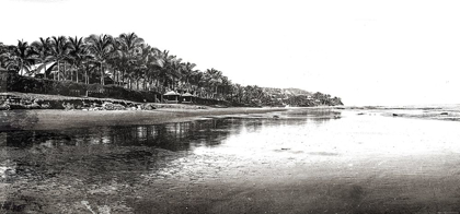 Picture of BLACK AND WHITE BEACH