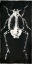 Picture of BUG LIFE TWO BLACK