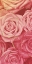 Picture of PINK GOLD ROSES